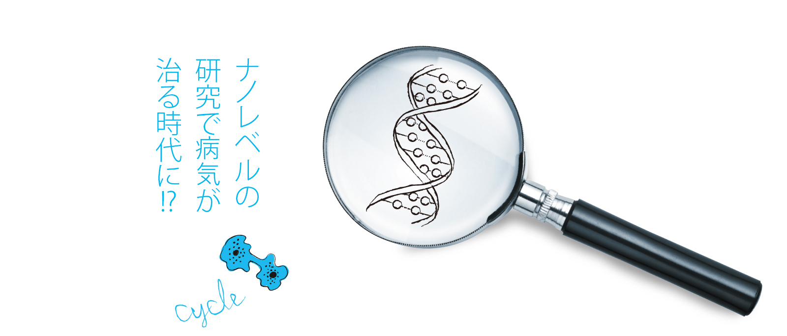 分子生物学研究室 京都先端科学大学 Kuas 分子生物学研究室 京都先端科学大学 Kuas