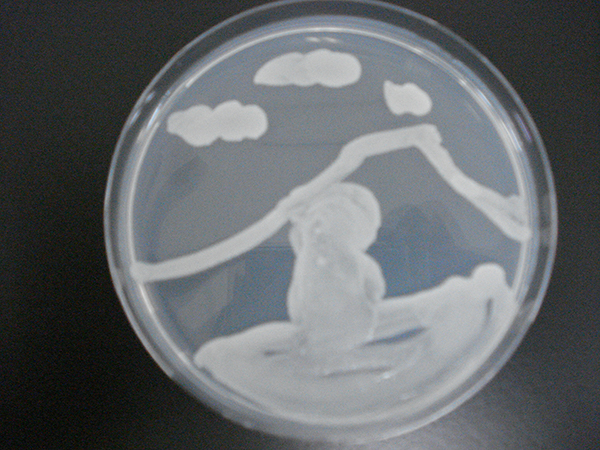 microbial_art02.jpg