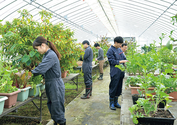 agriculture_img02.jpg