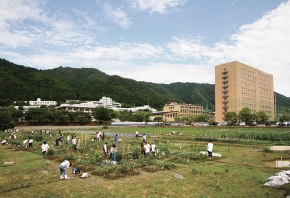 20130511-102538-5896.jpg