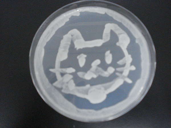 microbial_art11.jpg
