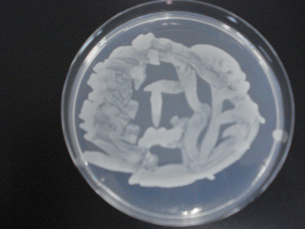 microbial_art01.jpg