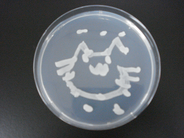 microbial_art16.jpg