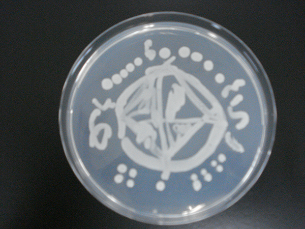 microbial_art10.jpg