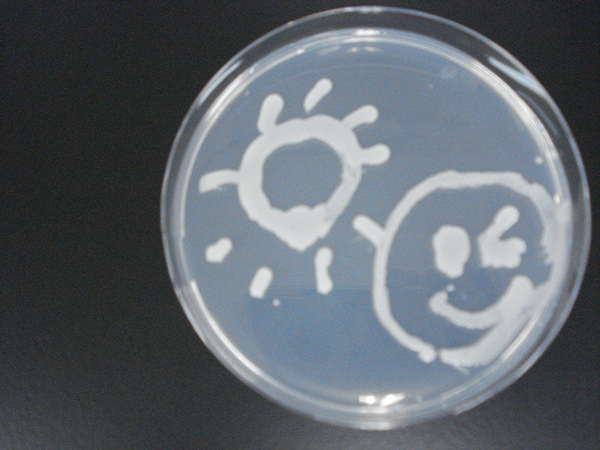 microbial_art12.jpg