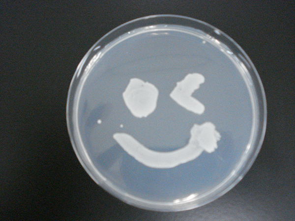 microbial_EC.jpg