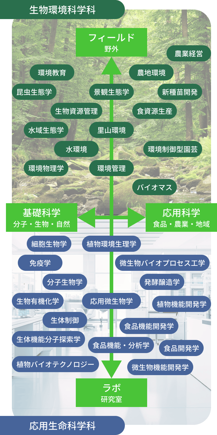 バイオ環境学部の学びのフィールド図