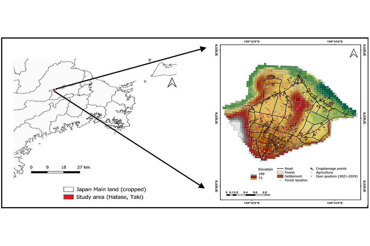 京都先端科学大学 沖一雄工学部教授、東京大学 生産技術研究所のパンディト サンタ特任研究員らの研究チームが、ニホンジカの生息域と人との接触時リスクを同時に評価する地理空間的分析手法を開発